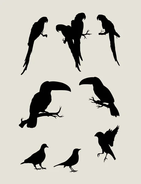 Bird Set Silhouettes — Stock Vector