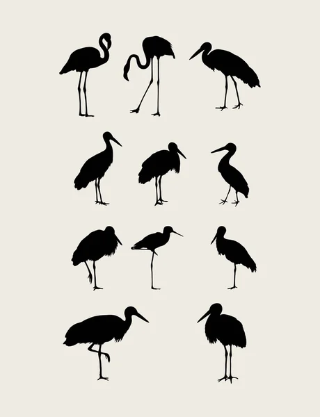 Ensemble d'oiseaux flamants Silhouettes — Image vectorielle