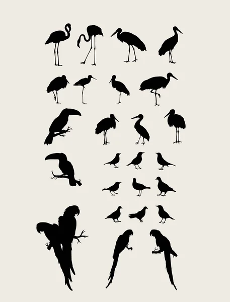 Set de aves Siluetas — Vector de stock