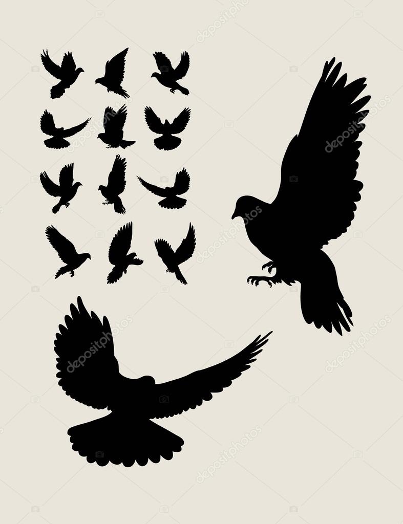 Dove Silhouettes, art vector design