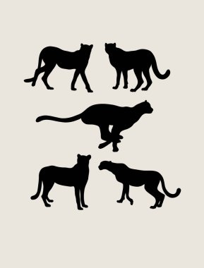 Afrika Cheetah Silhouettes