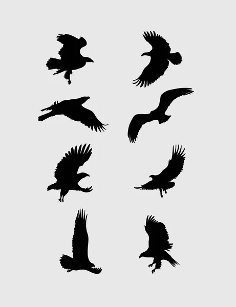 Eagle Flying Set Siluetas — Archivo Imágenes Vectoriales