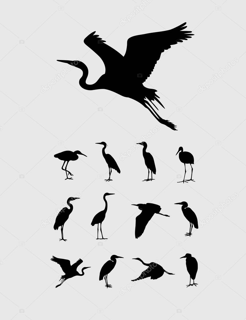 Heron and Stork Bird Silhouettes