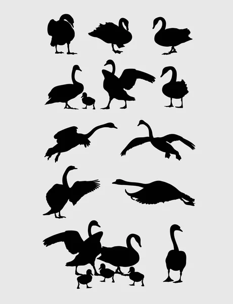 Conjunto de siluetas de cisnes — Archivo Imágenes Vectoriales