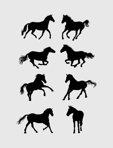 Ensemble de silhouettes de cheval — Image vectorielle