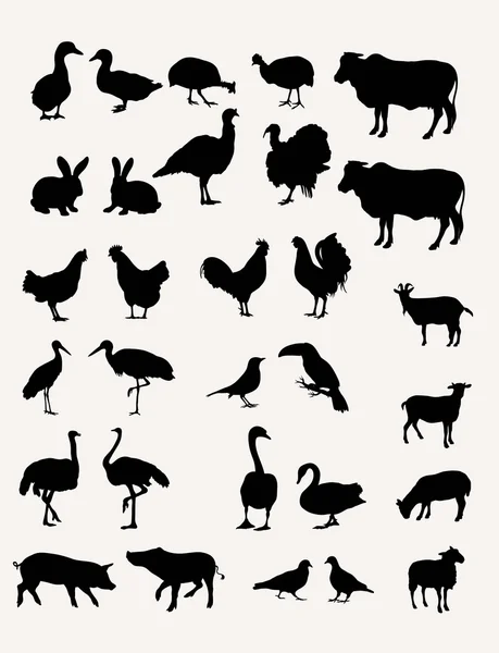 Conjunto de siluetas de ganado — Archivo Imágenes Vectoriales