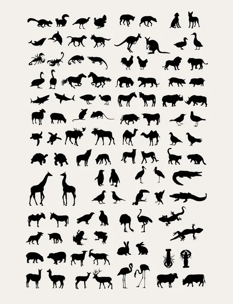 Colección de silueta animal — Vector de stock