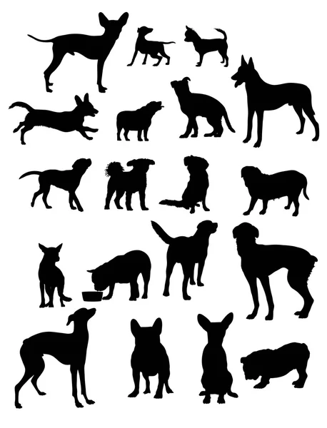 Cão Pet Silhouettes — Vetor de Stock