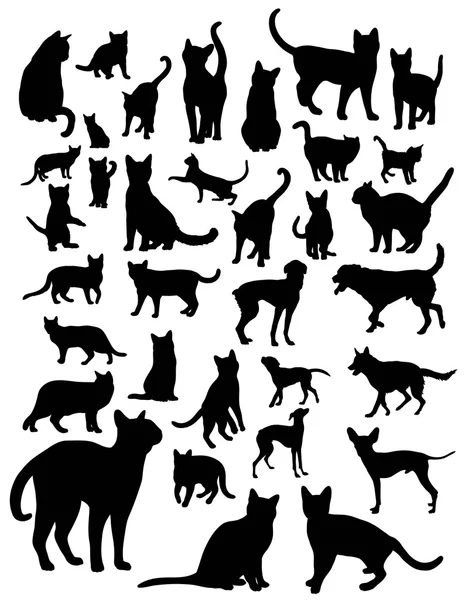 Pes a kočka, siluety — Stockový vektor