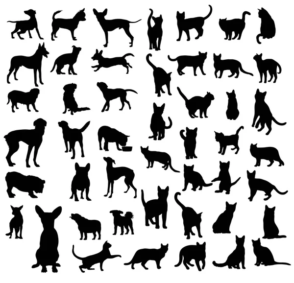 Kedi ve köpek siluetleri ayarla — Stok Vektör