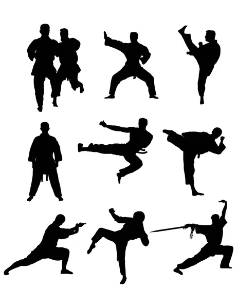 Taekwondo a karate — Stockový vektor
