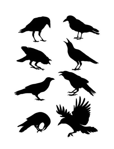 Silhouettes de corbeau noir — Image vectorielle