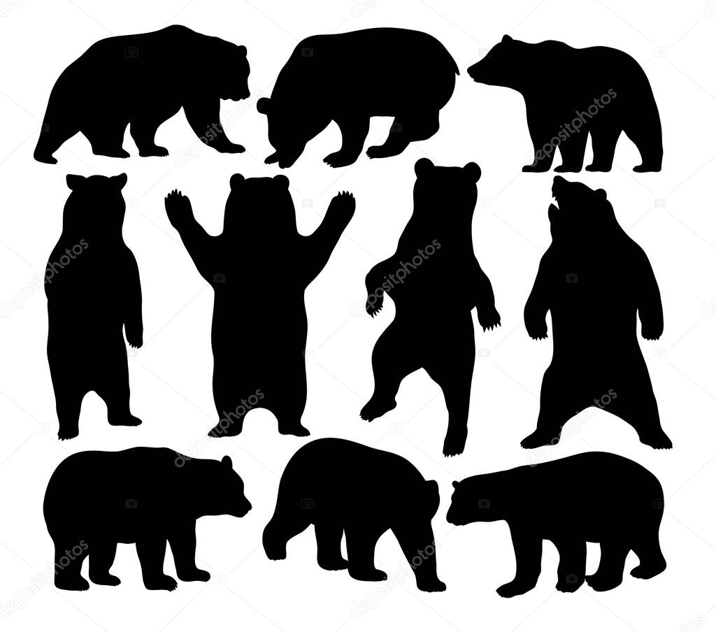 Bear Wildlife Silhouette art vector design