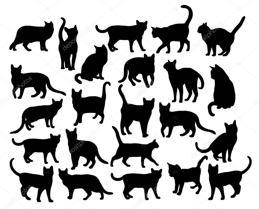 Cat Pet Animal Silhouettes, art vector design