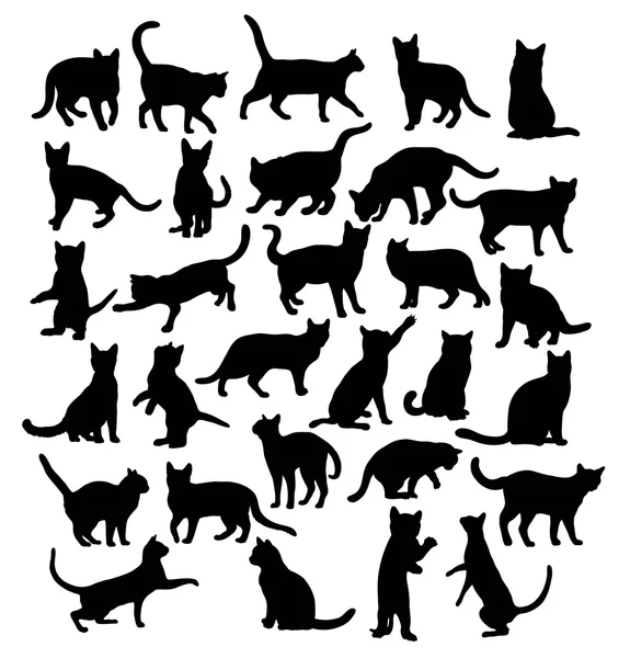 Cat Pet Animal Silhouettes — Stock Vector