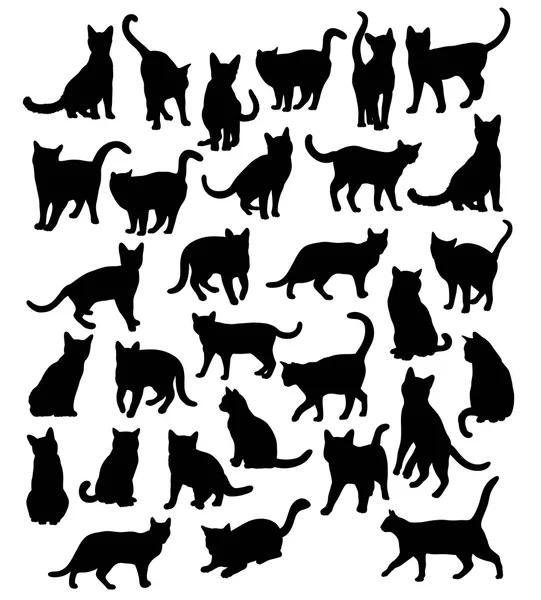 Siluetas de animales de gato — Vector de stock