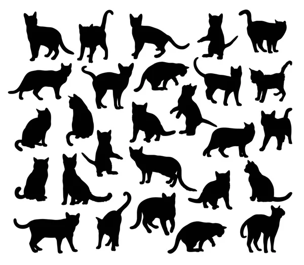 Cat Pet Animal Silhouettes — Stock Vector