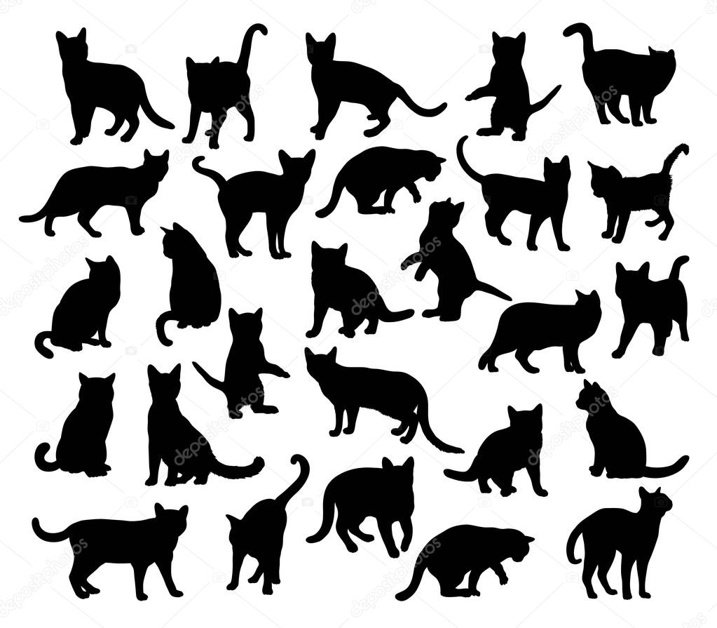 Cat Pet Animal Silhouettes, art vector design