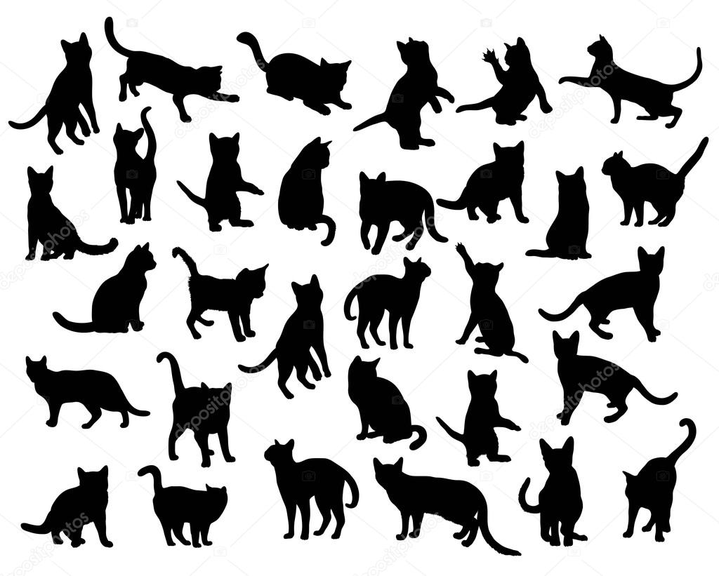 Activity Cat Silhouettes, art vector design