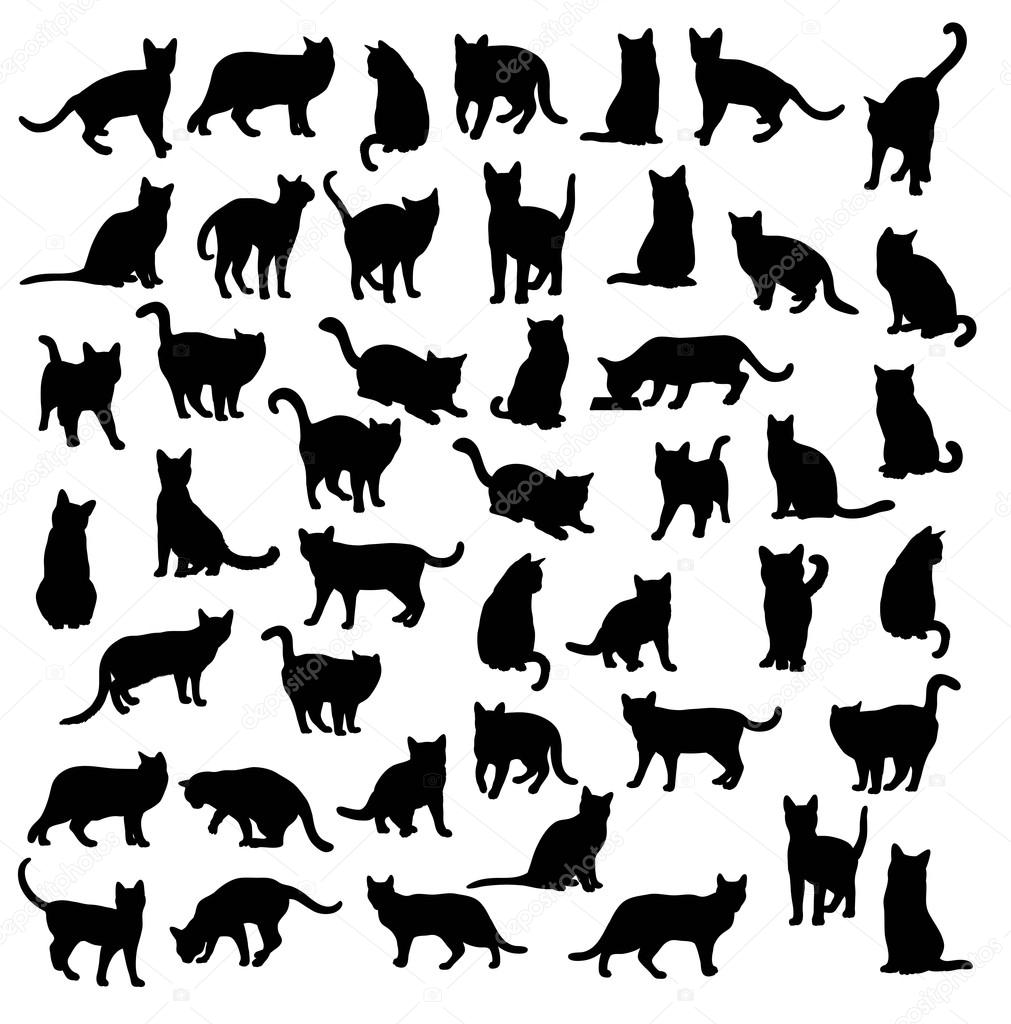 Cat and Activity Pet Animal Silhouettes