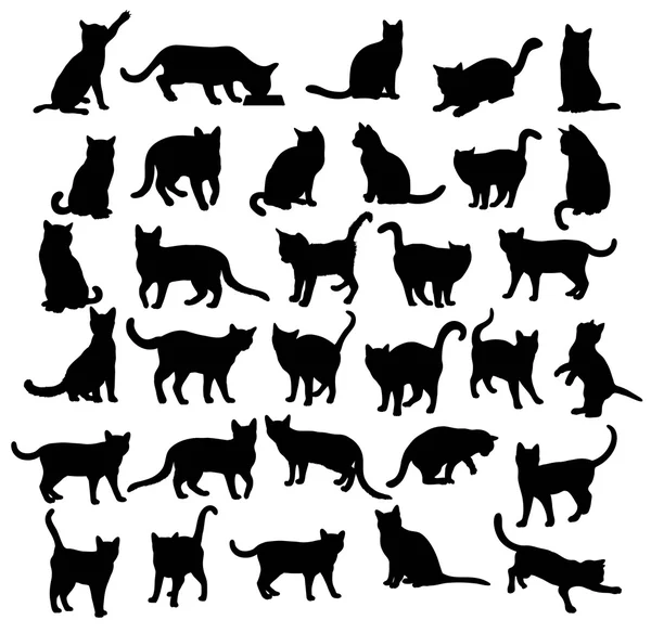 Silhouettes modernes pour chat — Image vectorielle