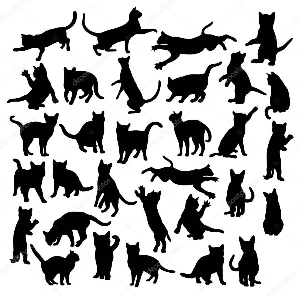 Cat Animal Silhouettes, art vector design