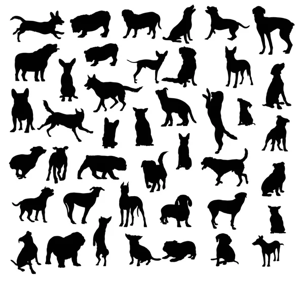 狗和小狗宠物动物剪影 — 图库矢量图片