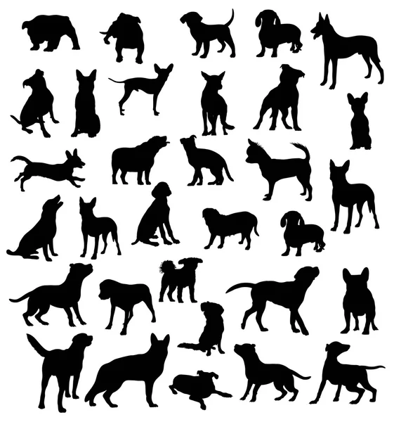 Dog Collection Silhouettes — Stock Vector