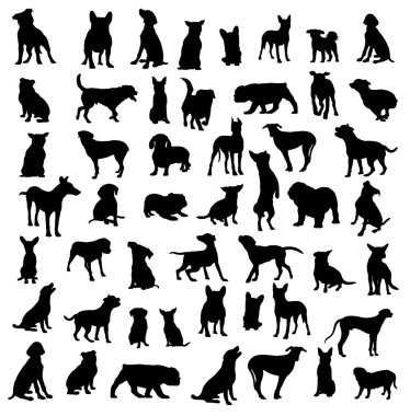 Köpek evde beslenen hayvan hayvan siluet