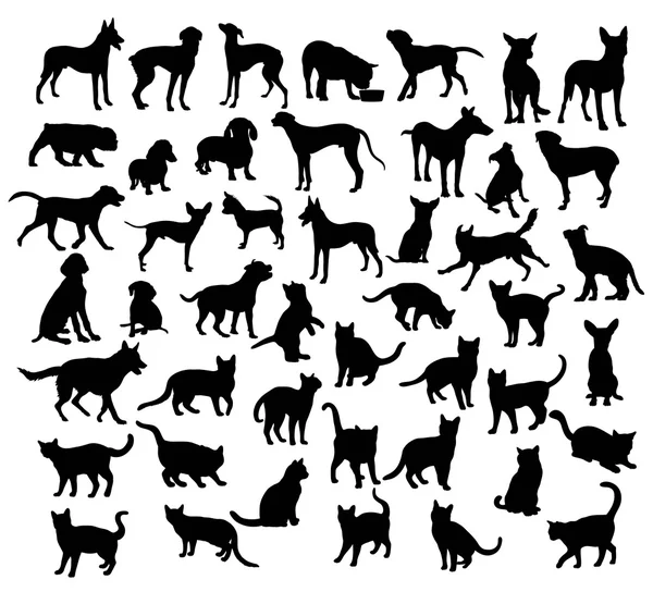 Gezelschapsdieren, hond en kat silhouetten — Stockvector