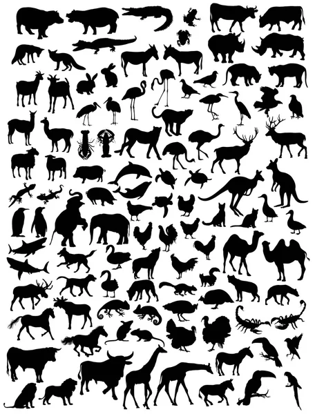 Varios tipos de siluetas de animales — Vector de stock