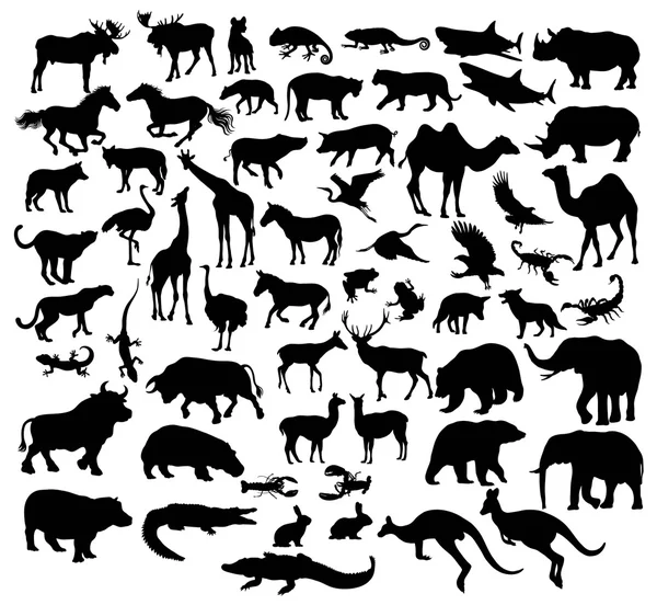 Diverses silhouettes d'animaux sauvages et de bétail — Image vectorielle