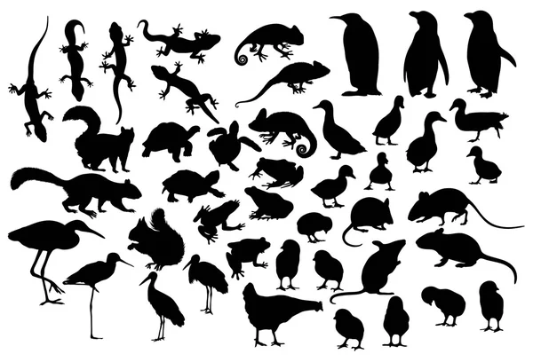 Little and Cute Animal Silhouettes — Stock Vector