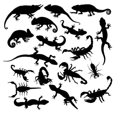 Gecko Akrep ve kertenkele Silhouettes