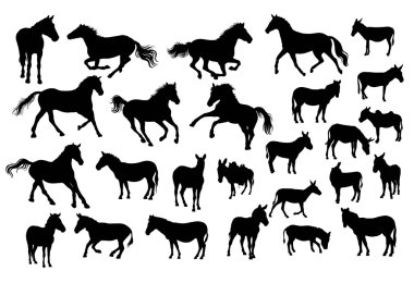 Horse, Donkey and Zebra Silhouettes clipart