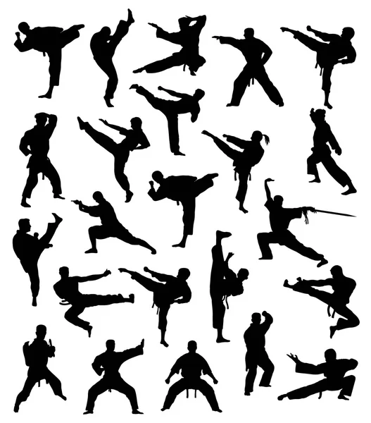 Arte marcial Atividade desportiva Coleção de silhuetas — Vetor de Stock