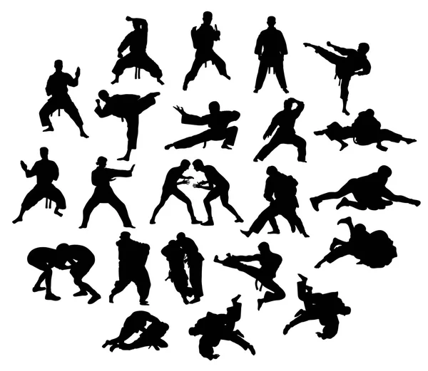 Kung Fu und Judo — Stockvektor