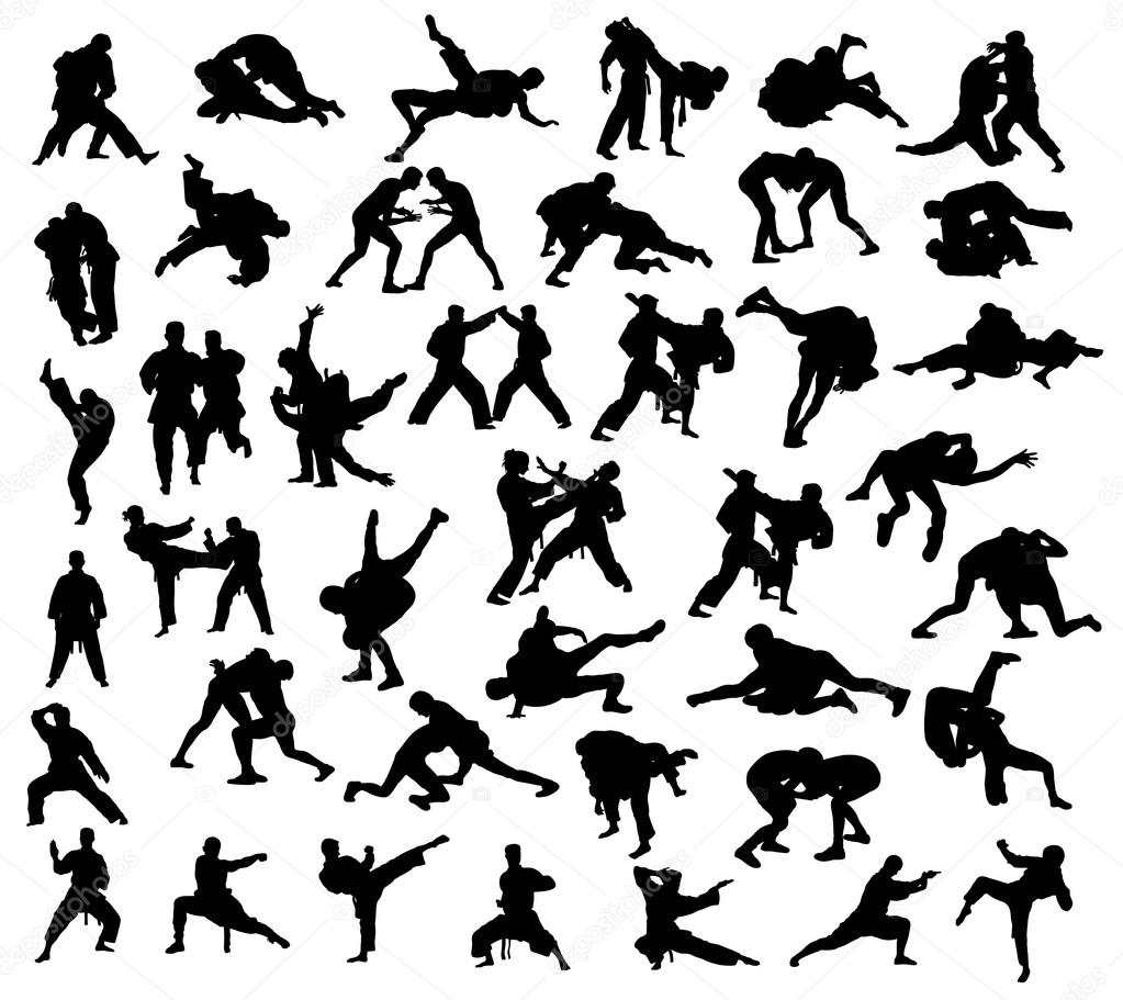 Silhouette of martial arts competition