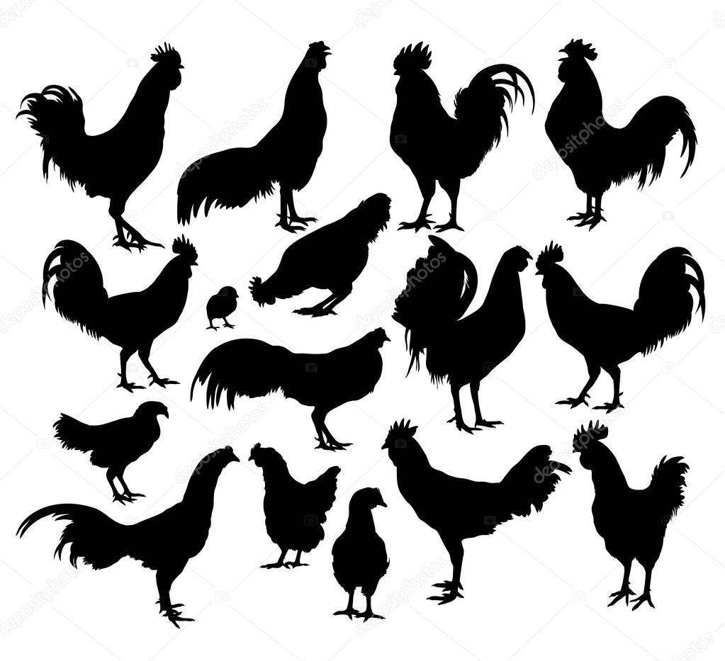 Rooster and Cock Family Silhouettes