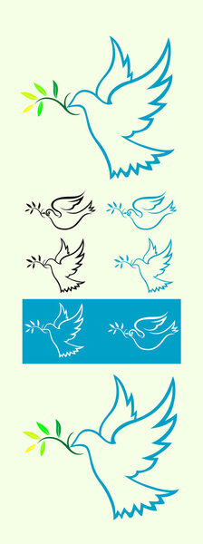 Dove of peace