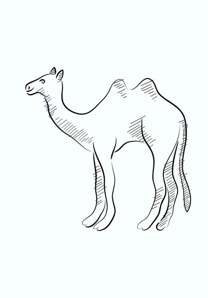 Dibujo de dibujo en camello — Vector de stock