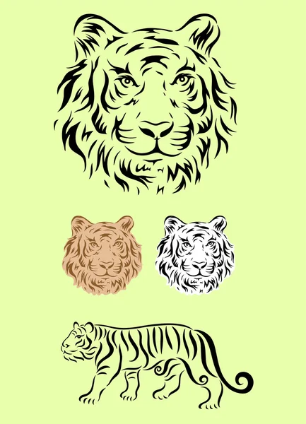 Conjunto de tigre — Archivo Imágenes Vectoriales