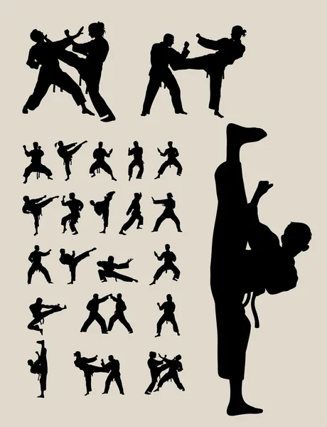 Silhouette di Taekwondo e Karate — Vettoriale Stock