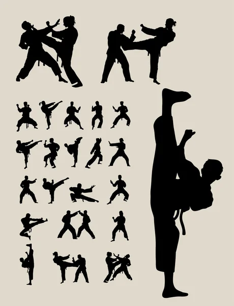 Siluetas de Taekwondo y Karate — Vector de stock