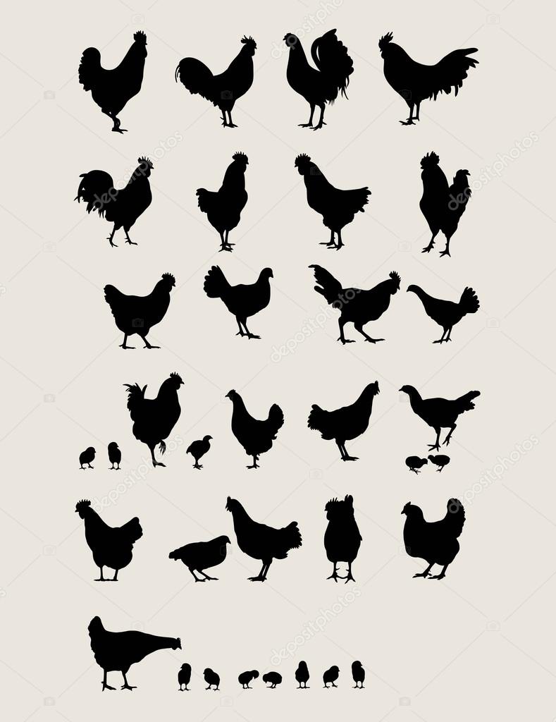 Roosters and Chicken Silhouettes Set , art vector design