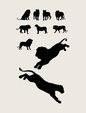 Aslan koleksiyonu siluet