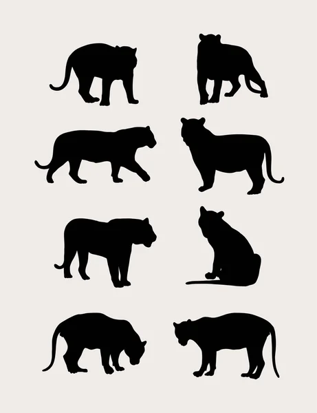 Colección Tiger Silhouette — Archivo Imágenes Vectoriales