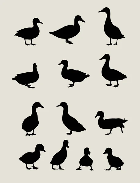 鸭设置剪影 — 图库矢量图片