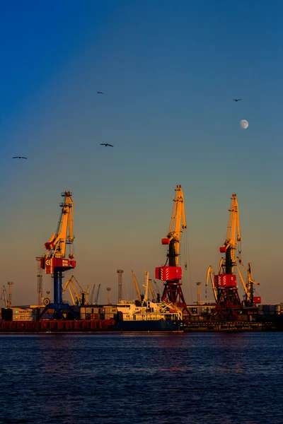 Commercial port of Kaliningrad — Stock Photo, Image