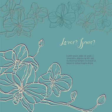 Açık turkuaz Arka plan üzerinde orkide çiçek dalı. Bu,